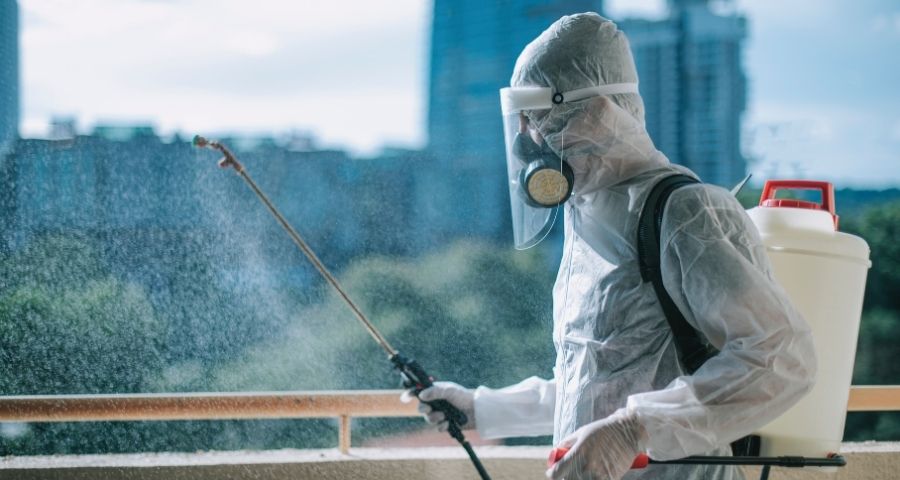 anticimex singapore 1