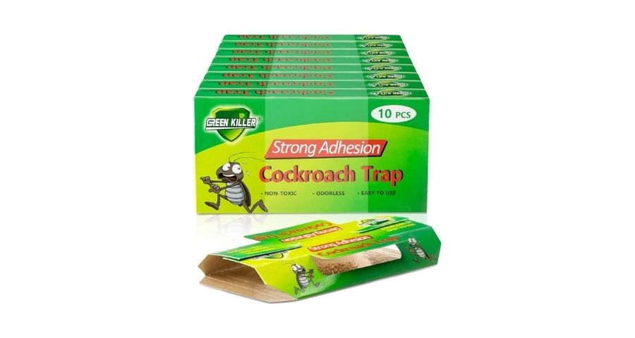 cockroach infestation product 5
