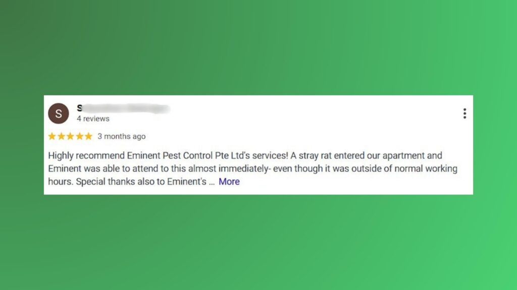 eminent pest control review 2 pest control singapore