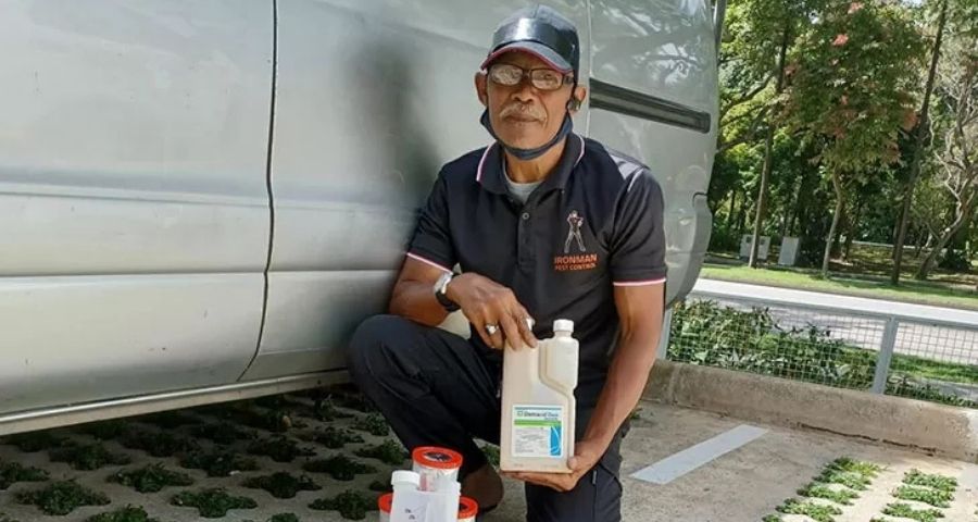 ironman pest control pest control singapore