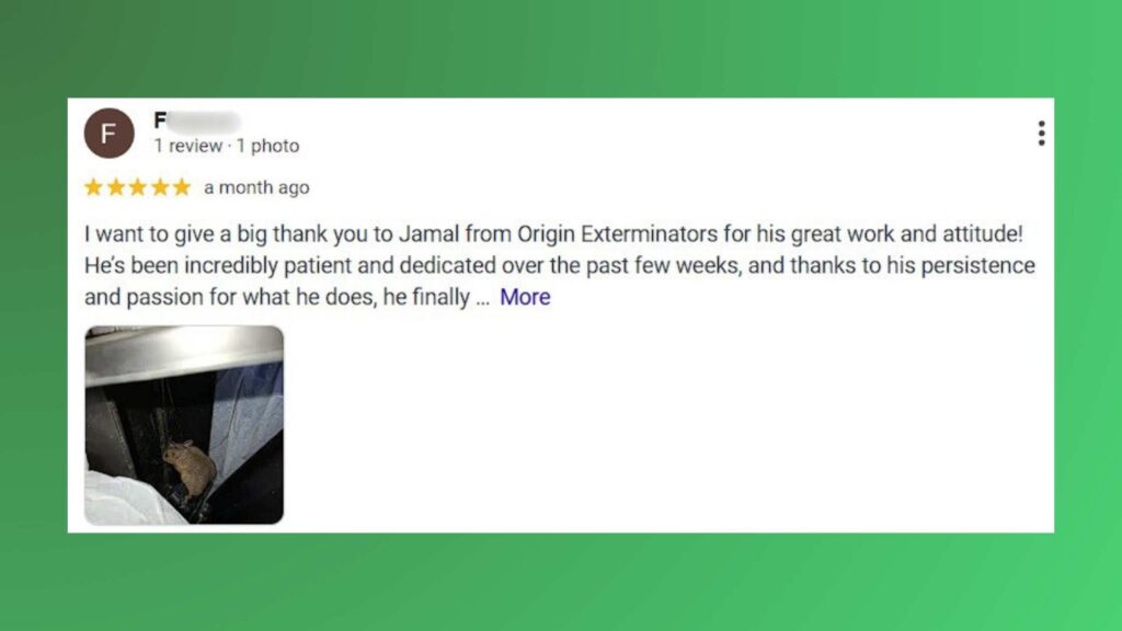 origin exterminators review 1 pest control singapore