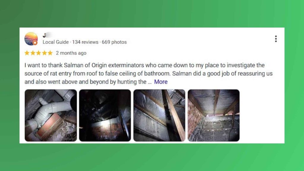 origin exterminators review 2 pest control singapore