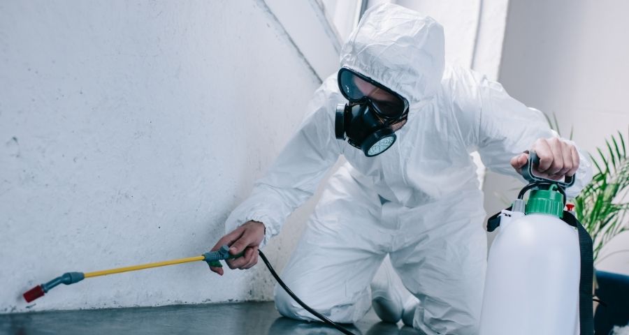 pest control singapore 2