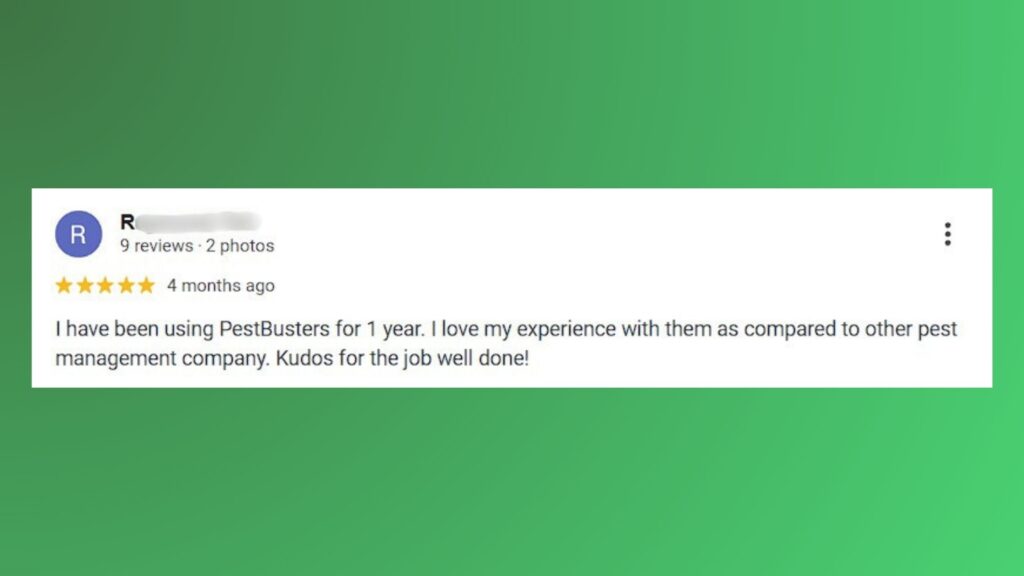 pestbusters review 2 pest control singapore