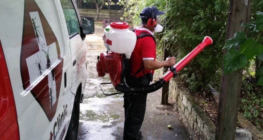 pestclinic pest control singapore