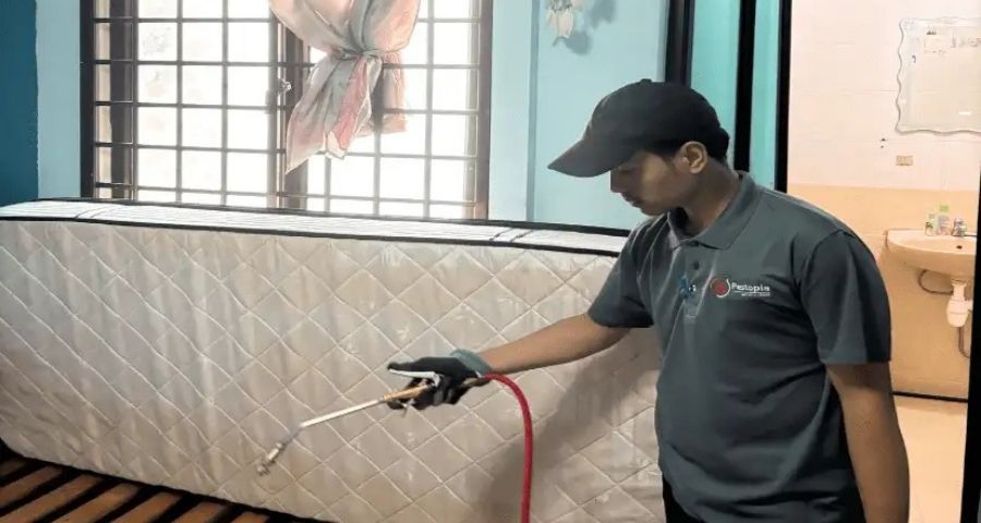 pestopia pest control singapore