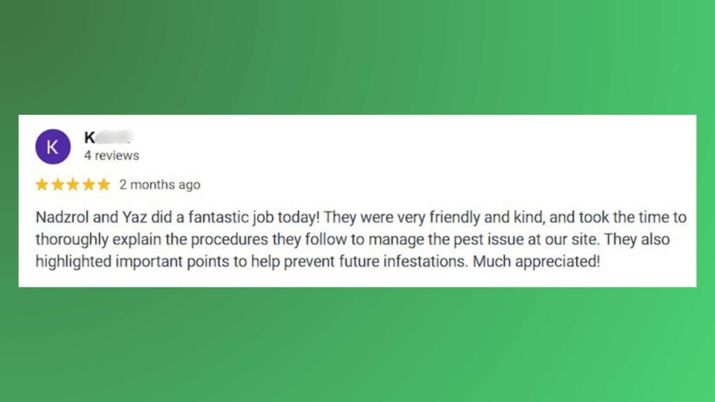 protect pest control review 1 pest control singapore